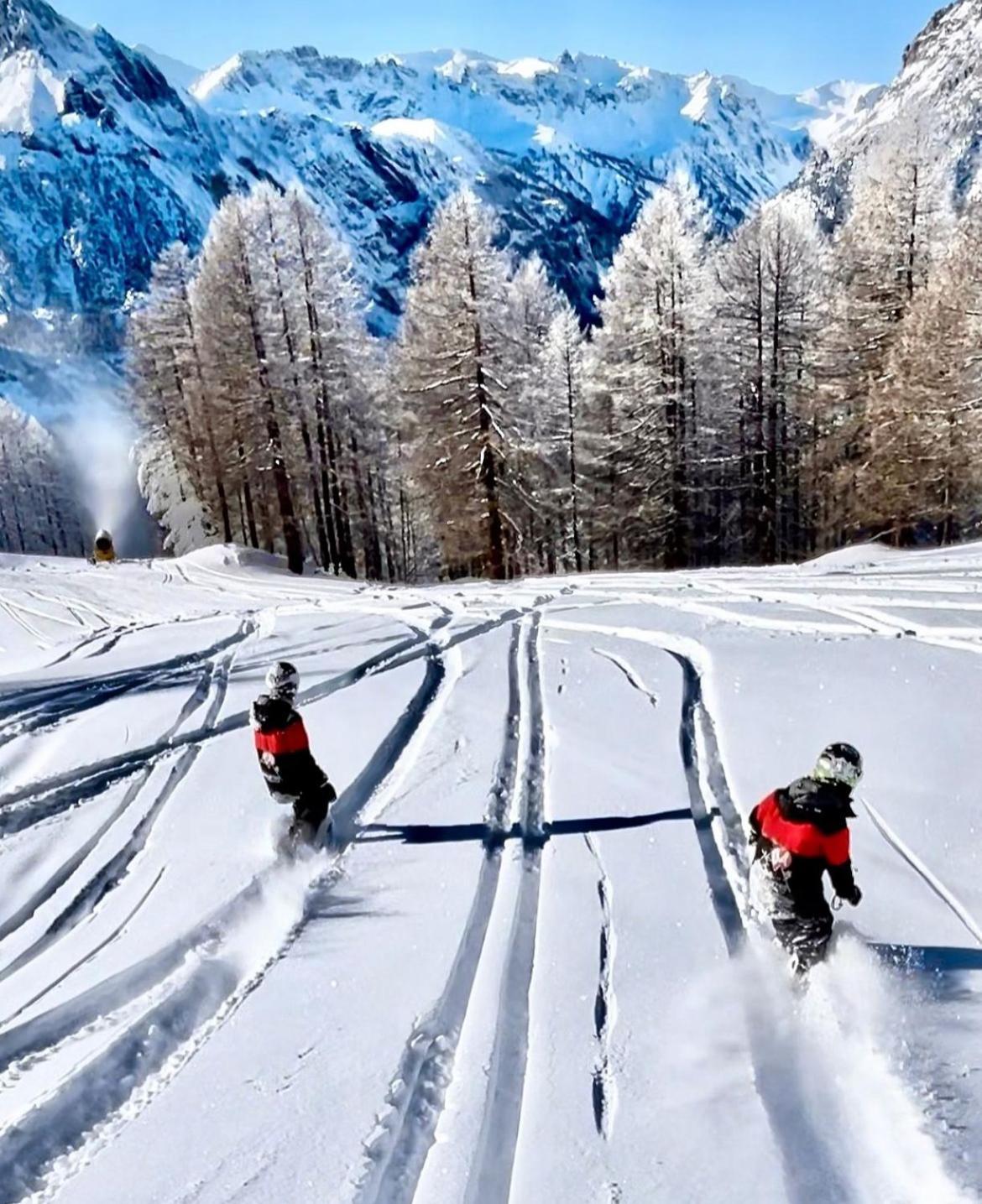 Hotel La Nigritella Bardonecchia Bagian luar foto